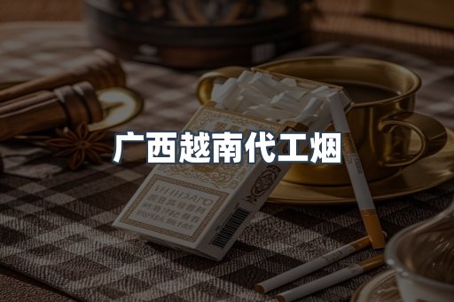 广西越南代工烟